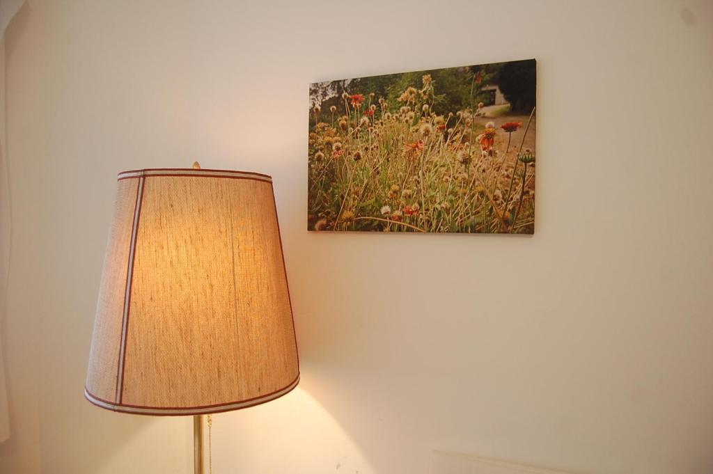 Greencity Boardinghouse Friburgo in Brisgovia Esterno foto